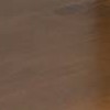 Medium Saddle Brown