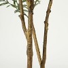 Olive Trees Artificial Indoor, Tall Faux Olive Tree with Black Planter & Green Fake Moss, Artificial Plants with Natural Wood Trunk & Lifelike Fruits - 4 of 4