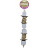 Prevue Pet Products Naturals Lava Cubes & Spheres Bird Toy - 2 of 2