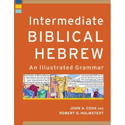 Intermediate Biblical Hebrew - (Learning Biblical Hebrew) by  John A Cook & Robert D Holmstedt (Paperback)