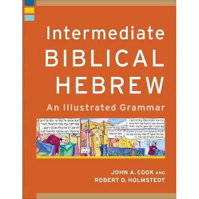 Intermediate Biblical Hebrew - (Learning Biblical Hebrew) by  John A Cook & Robert D Holmstedt (Paperback)