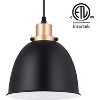 Fine Art Lighting Pendant Light, Matte Black - 4 of 4