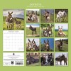 2026 Square Wall Calendar, Donkeys, 16-Month Animals Theme with 180 Reminder Stickers (12x12 In) - 4 of 4