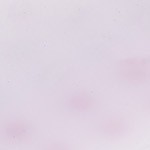 purple white