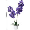1/2 Pc Artificial Magnolia & Orchid Trees in Pot, PEVA Polyester Faux Plants with White Planter, 24/31/37" for Home Office Decor - 3 of 4