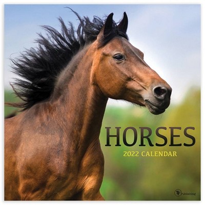 2022 Wall Calendar Horses - The Time Factory