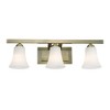 Livex Lighting Ridgedale 3 - Light Vanity in  Antique Brass - 4 of 4