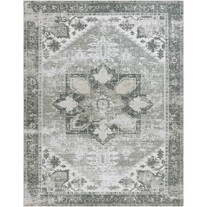 Tucson TSN102 Machine Washable Skid Resistant Stain Resistant Non-Shedding Power Loomed Indoor Rugs - Safavieh - 1 of 4