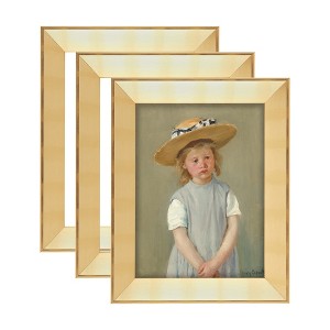 Expositions Open-Back Picture Frames For Paintings, Photos & Prints - With Gold, Set of 3 24x36" - Gallery Wall Frame  - Eco-Friendly Renewal Core - - 1 of 4