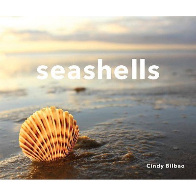 Seashells - by  Cindy Bilbao (Hardcover)