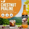 Syruvia Chestnut Praline Syrup - 25.4 fl oz. Premium Flavoring Syrup For Coffee - 2 of 4