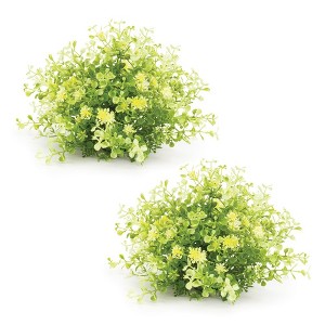 Melrose Mini Leaf Half Orb (Set of 2) - 1 of 2