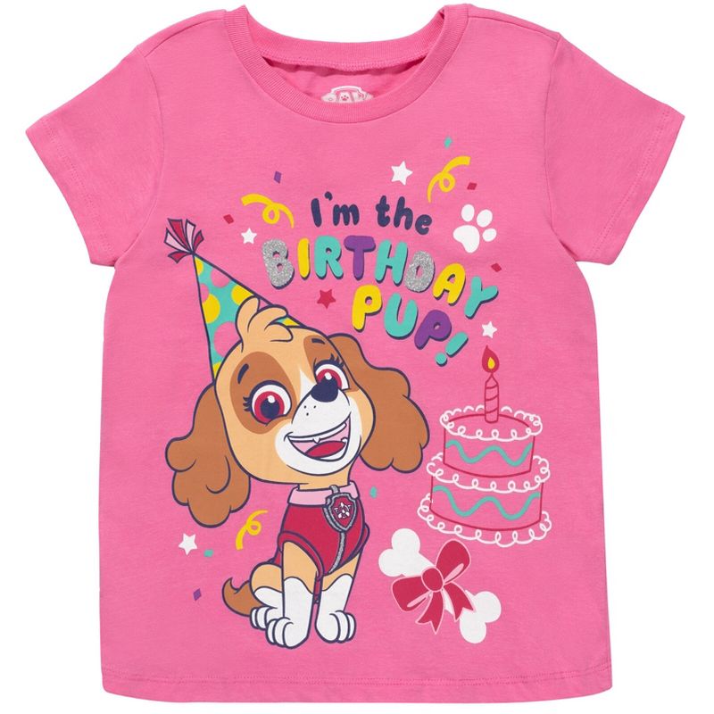 Paw Patrol Nickelodeon Skye Rubble Chase Girls Birthday T-Shirt Toddler to Big Kid, 1 of 5