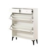 ALEXOUN Shoe Cabinet with 2 Flip Drawers & 2 Drawer,Free Standing Tipping Bucket Shoe Rack Organizer for Entryway, Hallway,Small Apartments - 4 of 4