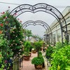 Dolonm Romantic Gothic Arbor Trellis - 8 Custom Styles, Double Anti-Rust Metal Support for Climbing Plants & Ceremonies - 2 of 4