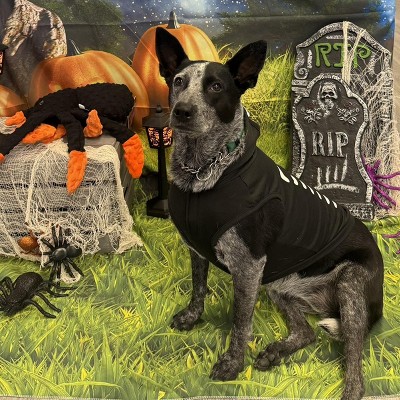 Guest review image 2 of 4, zoom in