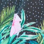 tropical garden border