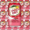 Canada Dry Cranberry Ginger Ale Soda - 12 Fl Oz Can (Pack of 15) - 2 of 4