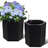 16 Inch Tall Planters Set of 2, Indoor Plants with Water Level Monitor & Drainage Hole & Wheels, Large Planter Pots for Patio, Porch - 2 of 4