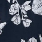 navy floral