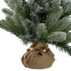 Northlight B/O Frosted Pine Artificial Christmas Tree with Burlap - 2' - Warm White Lights - 3 of 4