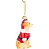 Kurt Adler Noble Gems Glass Ornament for Christmas Tree, Yellow Labrador Retriever in Santa Suit, 3.5" - 4 of 4