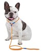 Unique Bargains Slip Leads for Dogs 1 Pc - 2 of 4