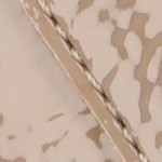 patent/taupe