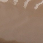 patent/taupe