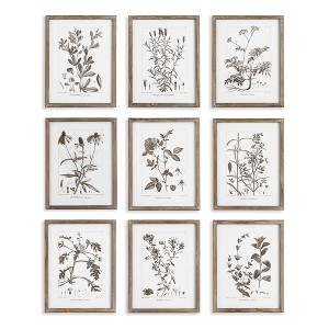 Plum & Post Rustic Foliage Study Set of 9 - 1 of 4