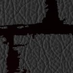 tampa bay buccaneers