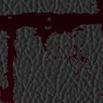 tampa bay buccaneers