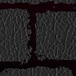 tampa bay buccaneers