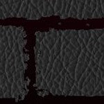 tampa bay buccaneers