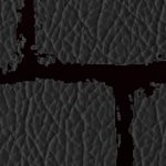 tampa bay buccaneers