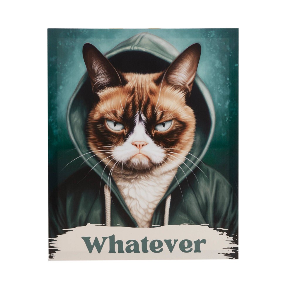 Photos - Wallpaper Madison Park 14"x17" Grumpy Cat Print Canvas Delightful Wall Decor Art Wha