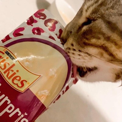 Friskies Lil Slurprises Compliments Saltwater Shrimp Wet Cat Food