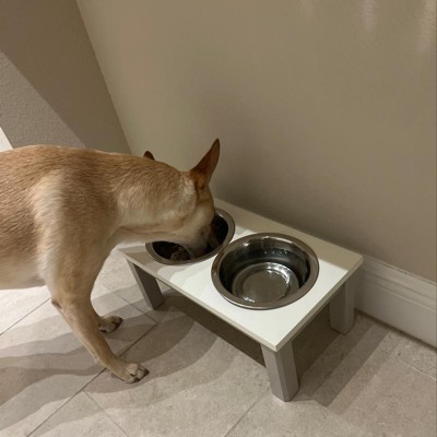 Traditional Short Elevated Dual Tone Dog Bowl With Sour Cream Top
