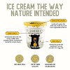 Ice Cream For Bears Frozen Queen & Bean Vanilla Ice Cream - 14 fl oz - 4 of 4