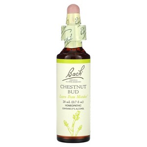 Bach Original Flower Remedies, Chestnut Bud, 0.7 fl oz (20 ml) - 1 of 3
