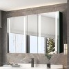 Surface Mounted Medicine Cabinet,LED Wall Hung Medicine Cabinet,Bathroom Cabinet With Mirror And Light,Medicine Cabinet With Mirror-The Pop Home - 2 of 4