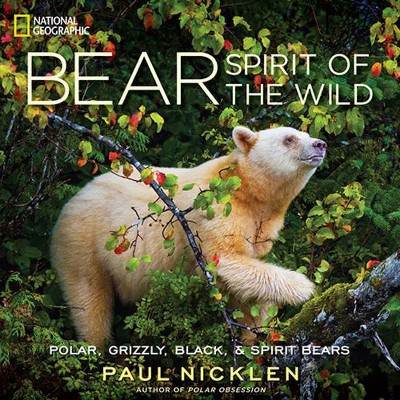 Bear - by  Paul Nicklen (Hardcover)