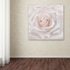 Trademark Fine Art -Cora Niele 'Soft White Rose' Canvas Art - 3 of 3