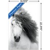 Trends International Grayscale Horse Unframed Wall Poster Prints - 3 of 4
