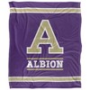 Albion College Primary Logo Silky Touch Blanket White 50x60 - 2 of 4