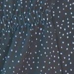 tropical garden border