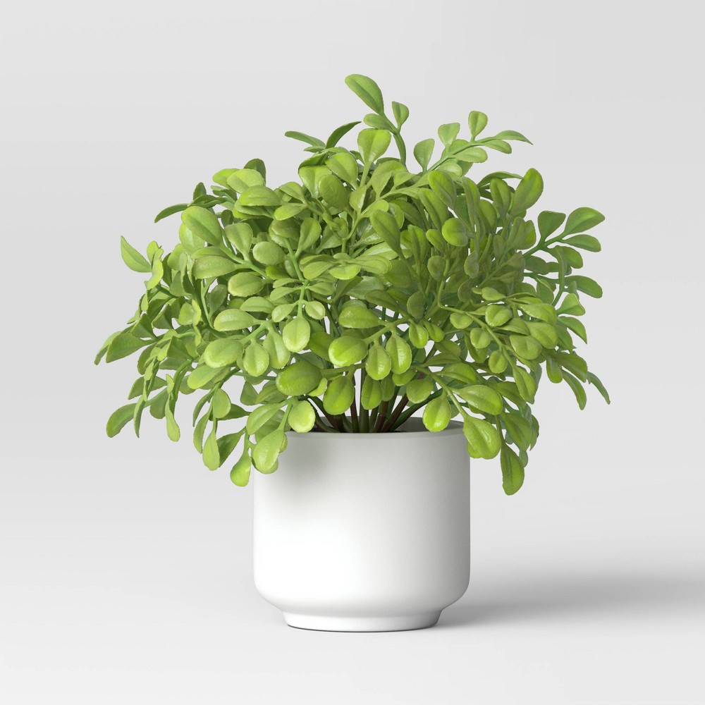 Photos - Other Decoration Artificial Boxwood Plant - Threshold™: Indoor Faux Greenery, Melamine Pot,