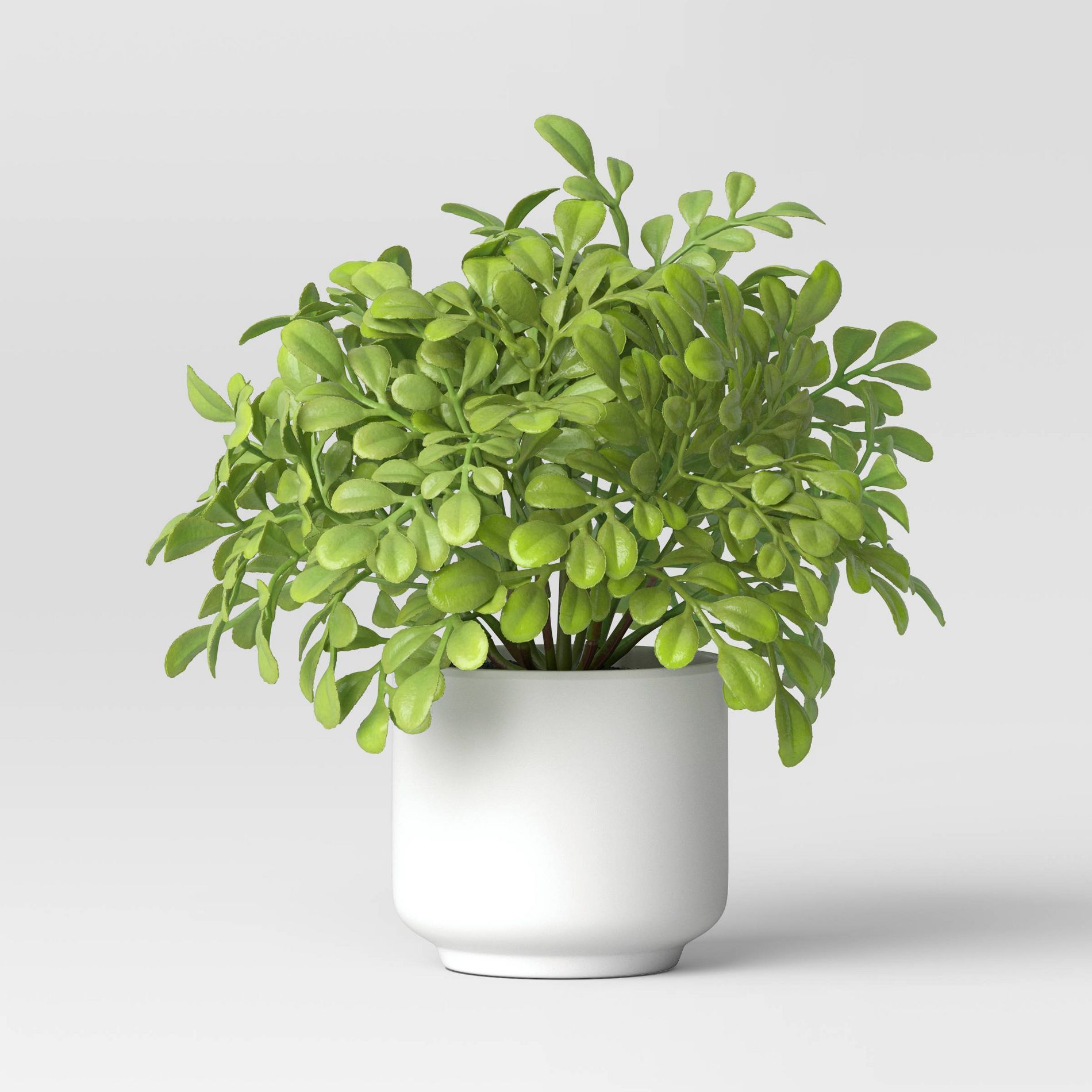 Artificial Boxwood Plant - Threshold™: Indoor Faux Greenery, Melamine Pot, Tabletop Decor, 4.3" Height