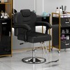 Dexmalle 360° Reclining Barber Salon Chair with Heavy Duty Hydraulic Pump,Black - 2 of 4