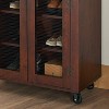 Mayab Industrial Mobile Cabinet with Mesh Doors & Caster Wheels - HOMES: Inside + Out - 3 of 4